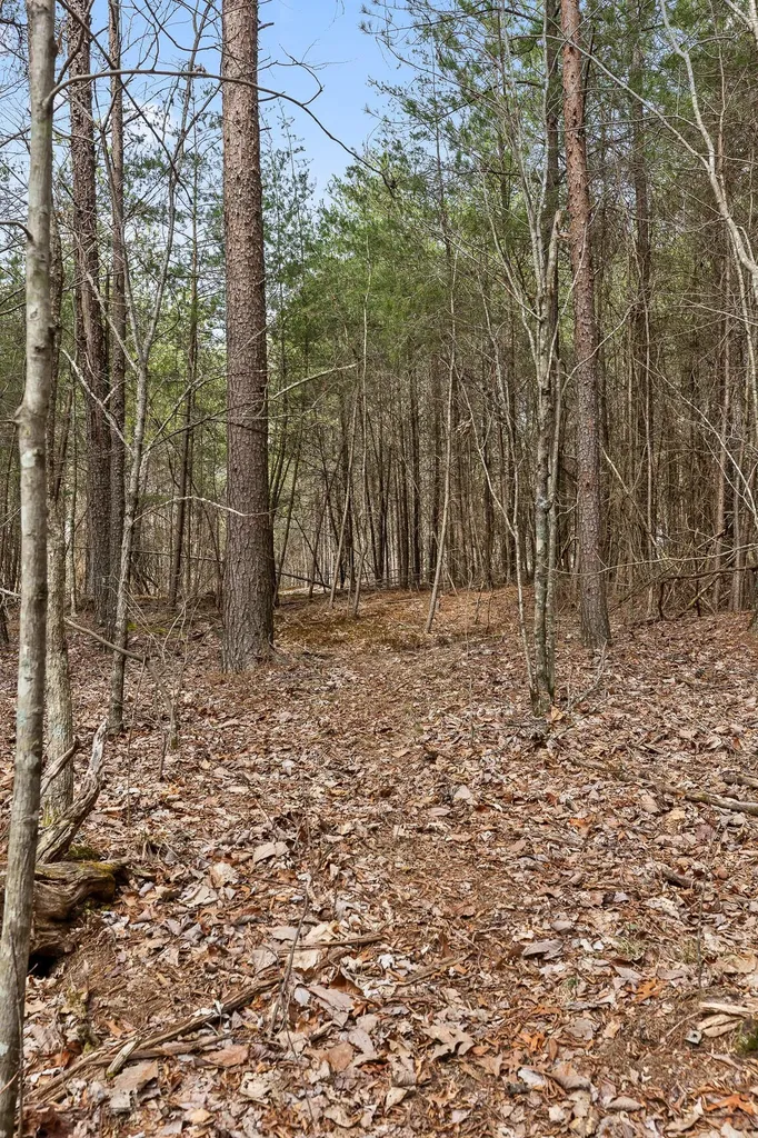 0 Crockett Point Sequatchie TN 37374