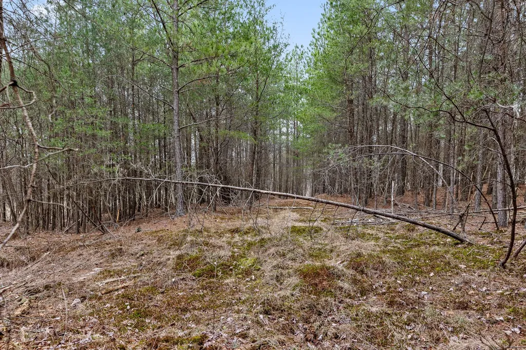 0 Crockett Point Sequatchie TN 37374