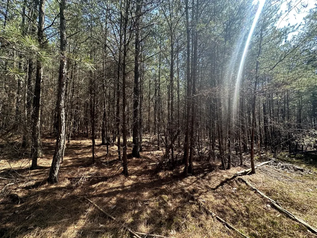 0 Crockett Point Sequatchie TN 37374