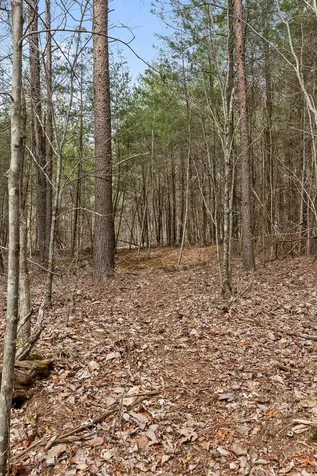 0 Crockett Point Sequatchie TN 37374