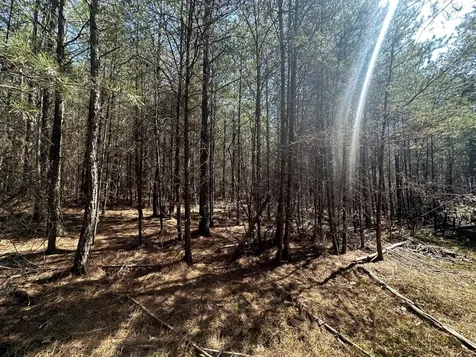 0 Crockett Point Sequatchie TN 37374