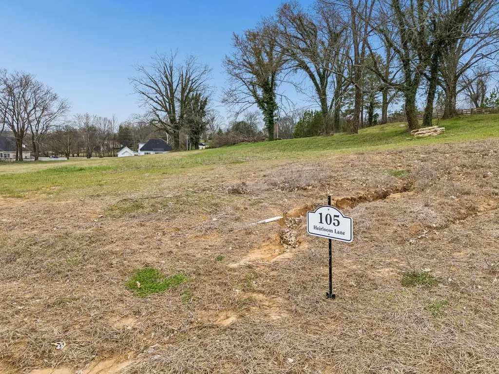 105 Heirloom Lane Columbia TN 38401