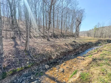 375 Roanoke Creek Road Collinwood TN 38450
