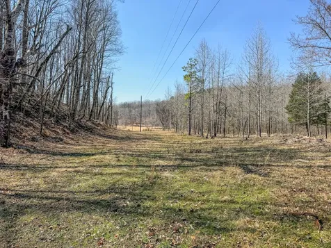 375 Roanoke Creek Road Collinwood TN 38450