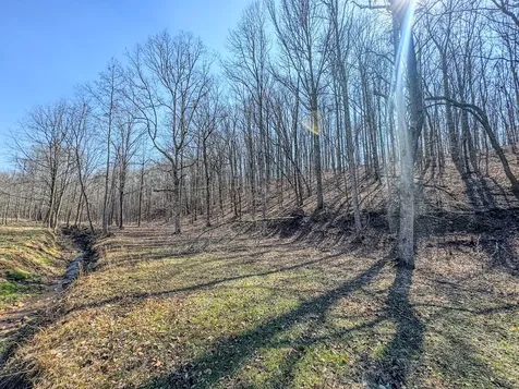 375 Roanoke Creek Road Collinwood TN 38450