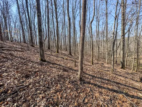 375 Roanoke Creek Road Collinwood TN 38450