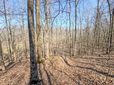 375 Roanoke Creek Road Collinwood TN 38450