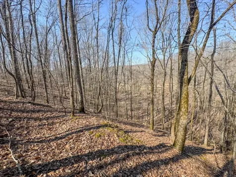 375 Roanoke Creek Road Collinwood TN 38450
