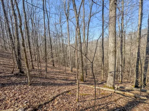 375 Roanoke Creek Road Collinwood TN 38450