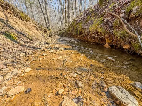 375 Roanoke Creek Road Collinwood TN 38450