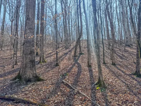 375 Roanoke Creek Road Collinwood TN 38450