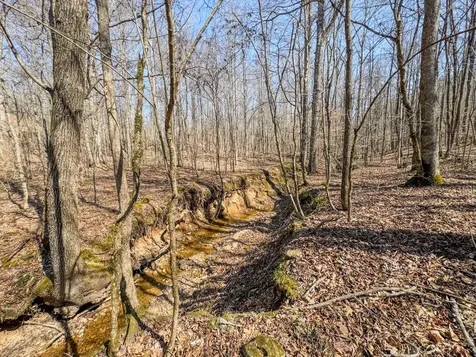 375 Roanoke Creek Road Collinwood TN 38450