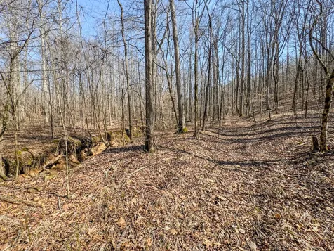 375 Roanoke Creek Road Collinwood TN 38450