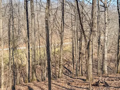 375 Roanoke Creek Road Collinwood TN 38450