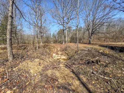 375 Roanoke Creek Road Collinwood TN 38450