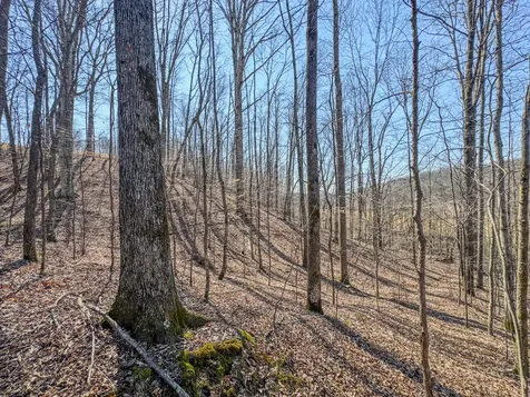 375 Roanoke Creek Road Collinwood TN 38450
