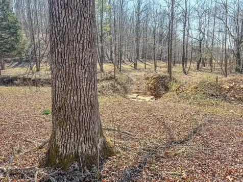 375 Roanoke Creek Road Collinwood TN 38450