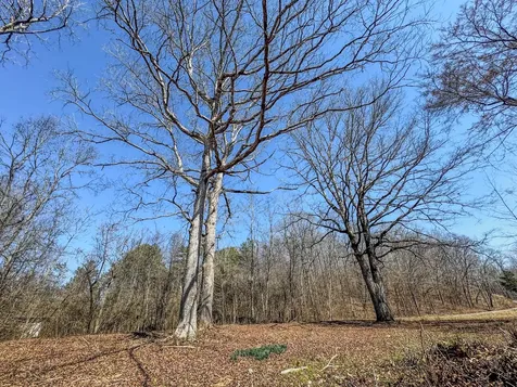 375 Roanoke Creek Road Collinwood TN 38450