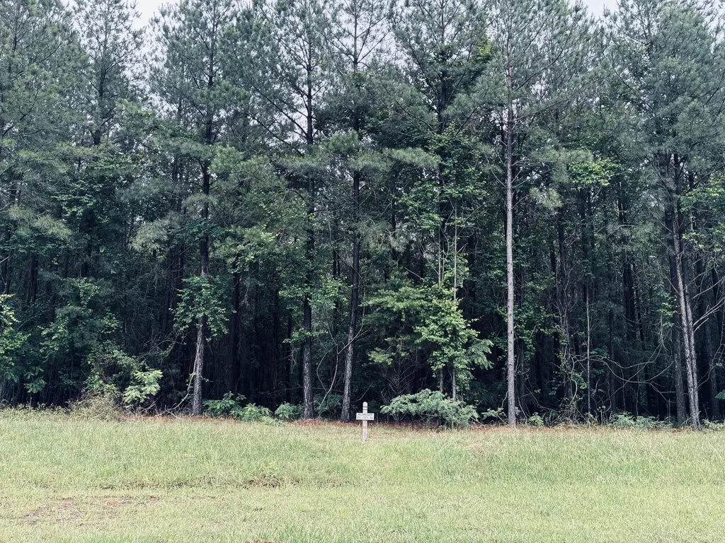 3525 Crockett Point Jasper TN 37347