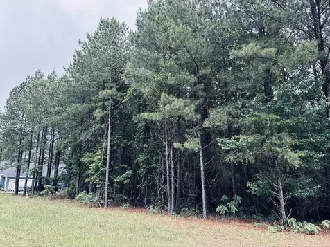 3525 Crockett Point Jasper TN 37347