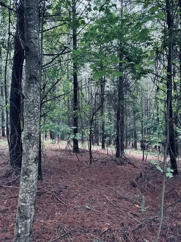 3525 Crockett Point Jasper TN 37347