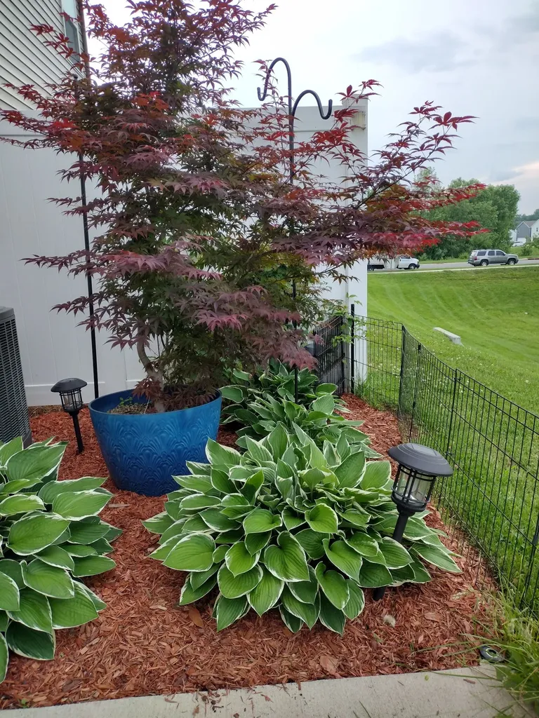 423 Palmetto Drive Columbia TN 38401