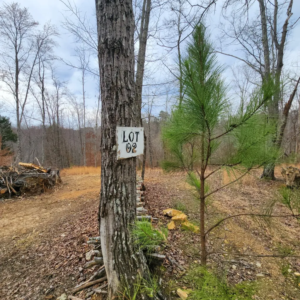 584 Back Bone Road Sparta TN 38583