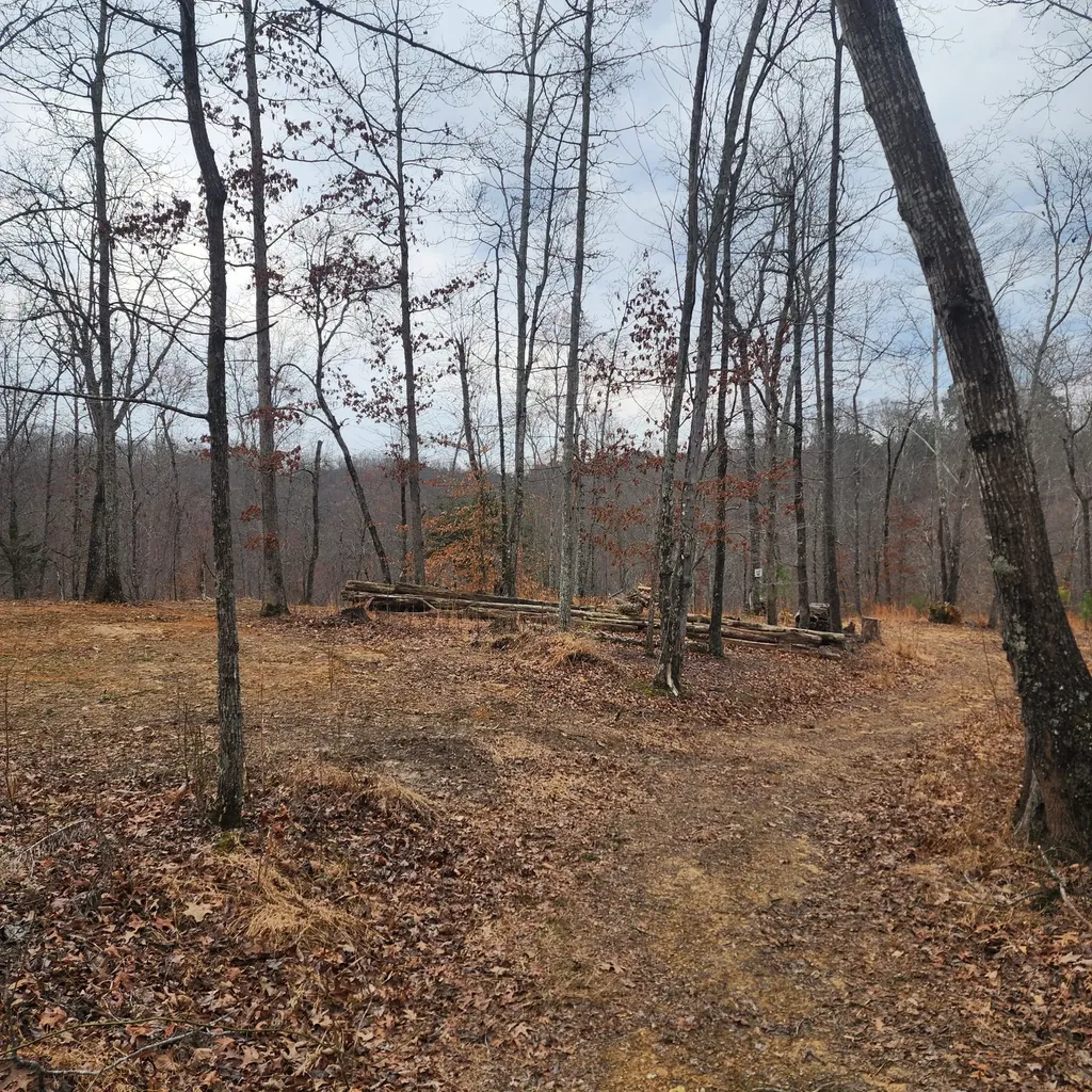 584 Back Bone Road Sparta TN 38583