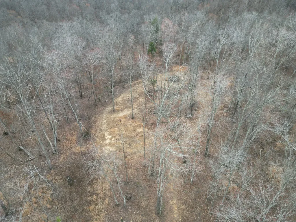 584 Back Bone Road Sparta TN 38583