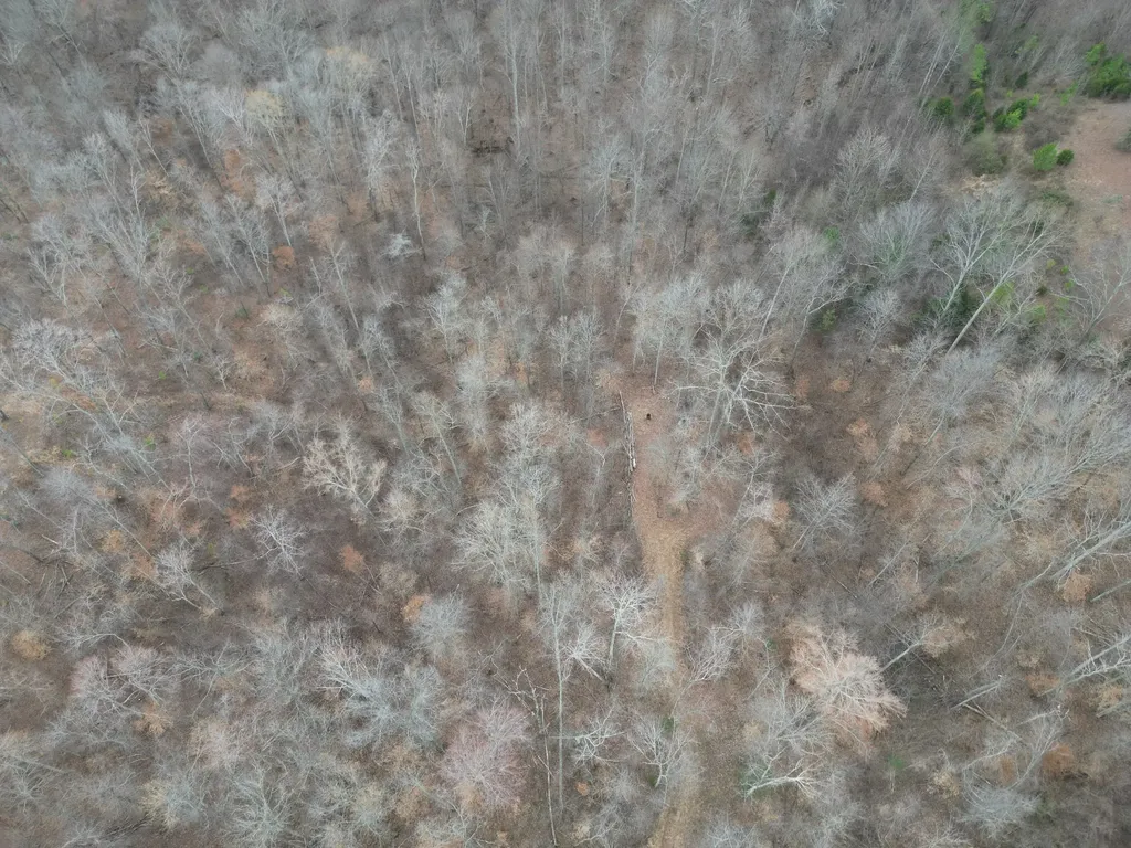 584 Back Bone Road Sparta TN 38583