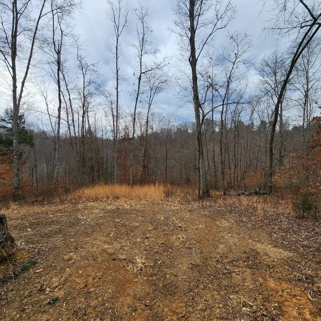 584 Back Bone Road Sparta TN 38583