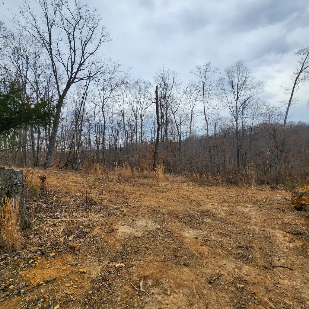 584 Back Bone Road Sparta TN 38583