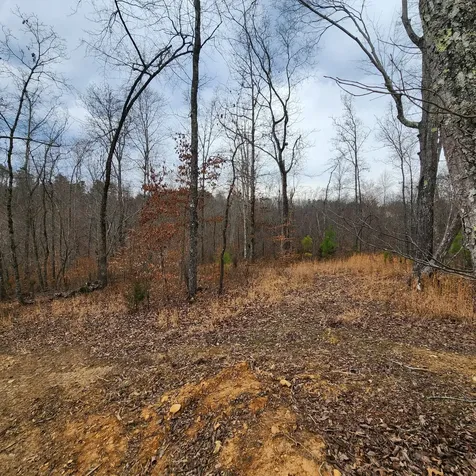 584 Back Bone Road Sparta TN 38583