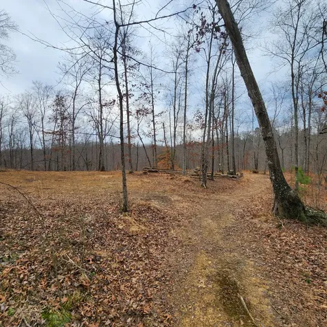 584 Back Bone Road Sparta TN 38583