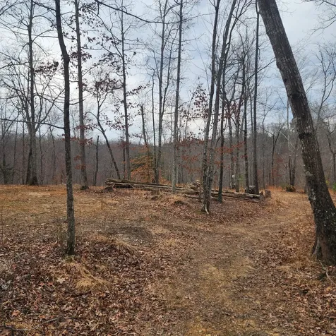 584 Back Bone Road Sparta TN 38583