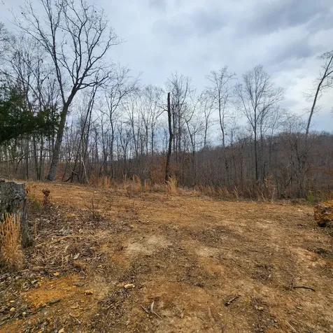 584 Back Bone Road Sparta TN 38583