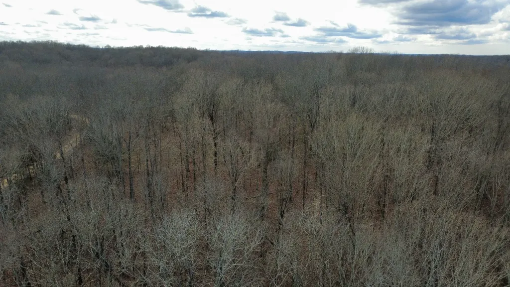 0 Daniel Road Waverly TN 37185