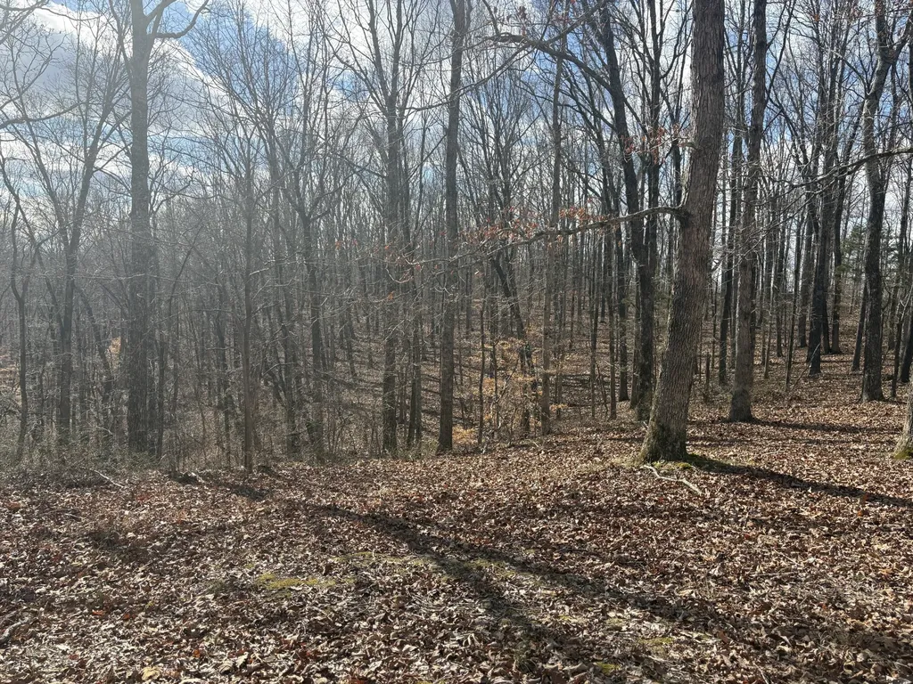 0 Daniel Road Waverly TN 37185