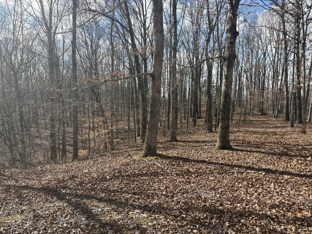 0 Daniel Road Waverly TN 37185