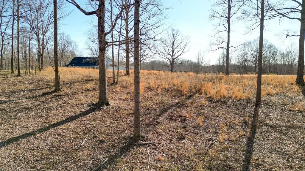 0 Primm Road Ashland City TN 37015