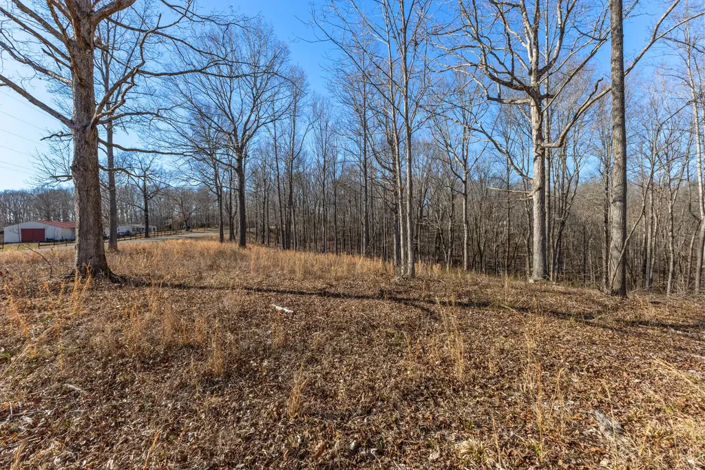0 Primm Road Ashland City TN 37015