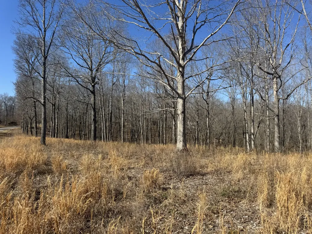 0 Primm Road Ashland City TN 37015