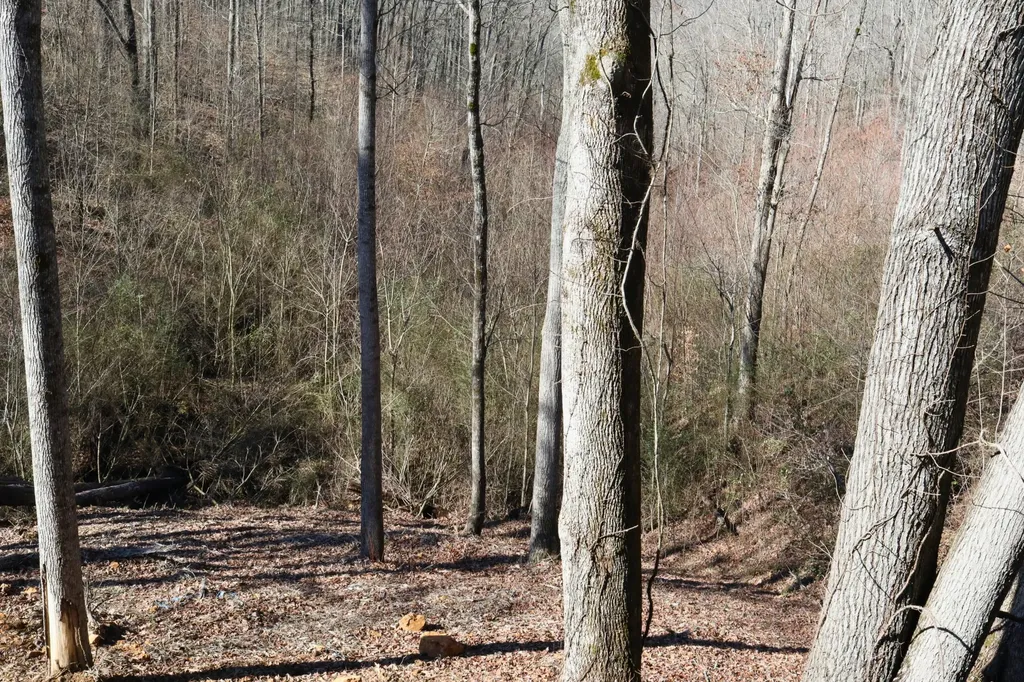 8634 Holmes Creek Road Smithville TN 37166