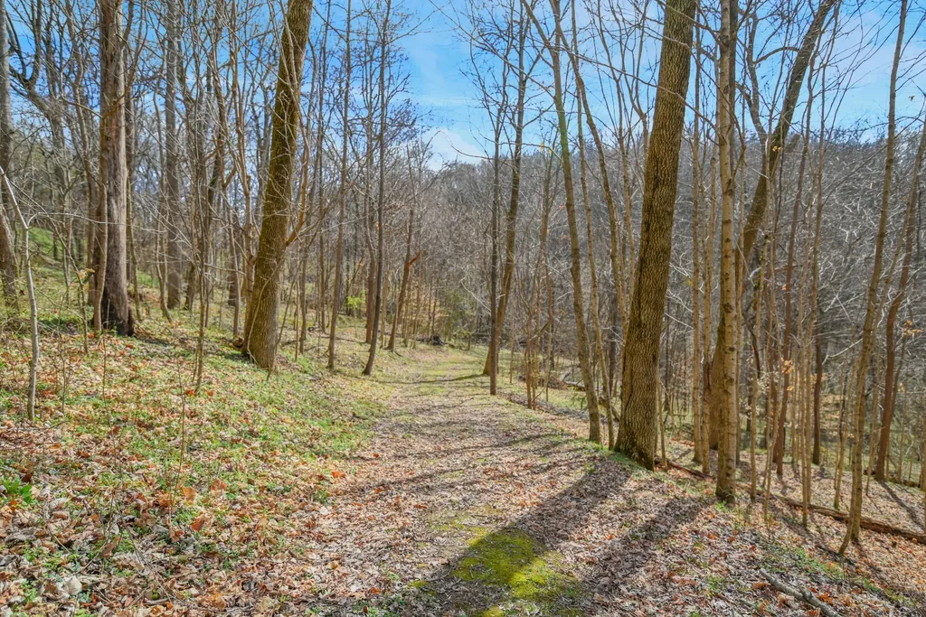 4050 Cantebury Drive Culleoka TN 38451