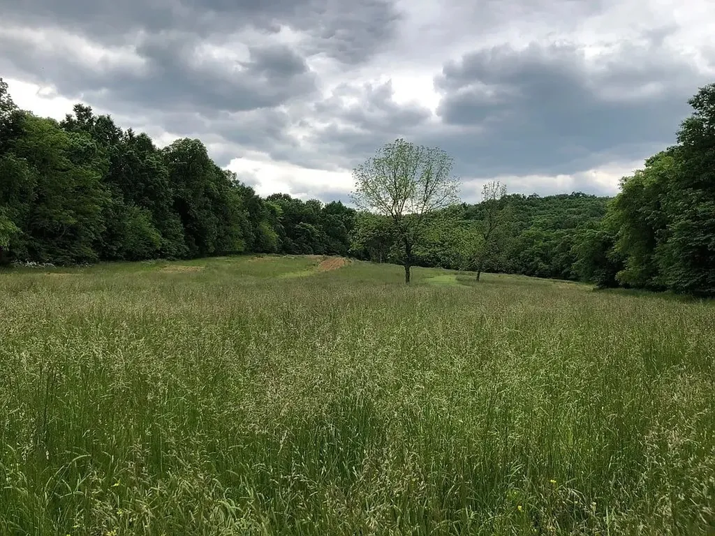 5 Millersburg Road Christiana TN 37037