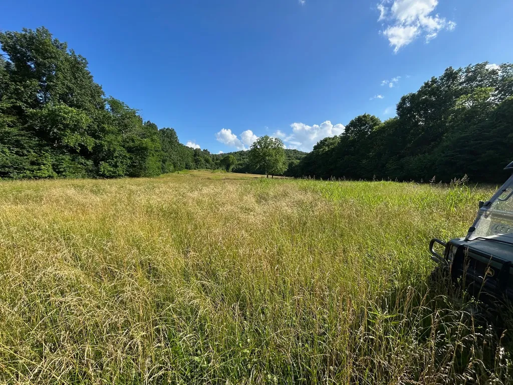 5 Millersburg Road Christiana TN 37037