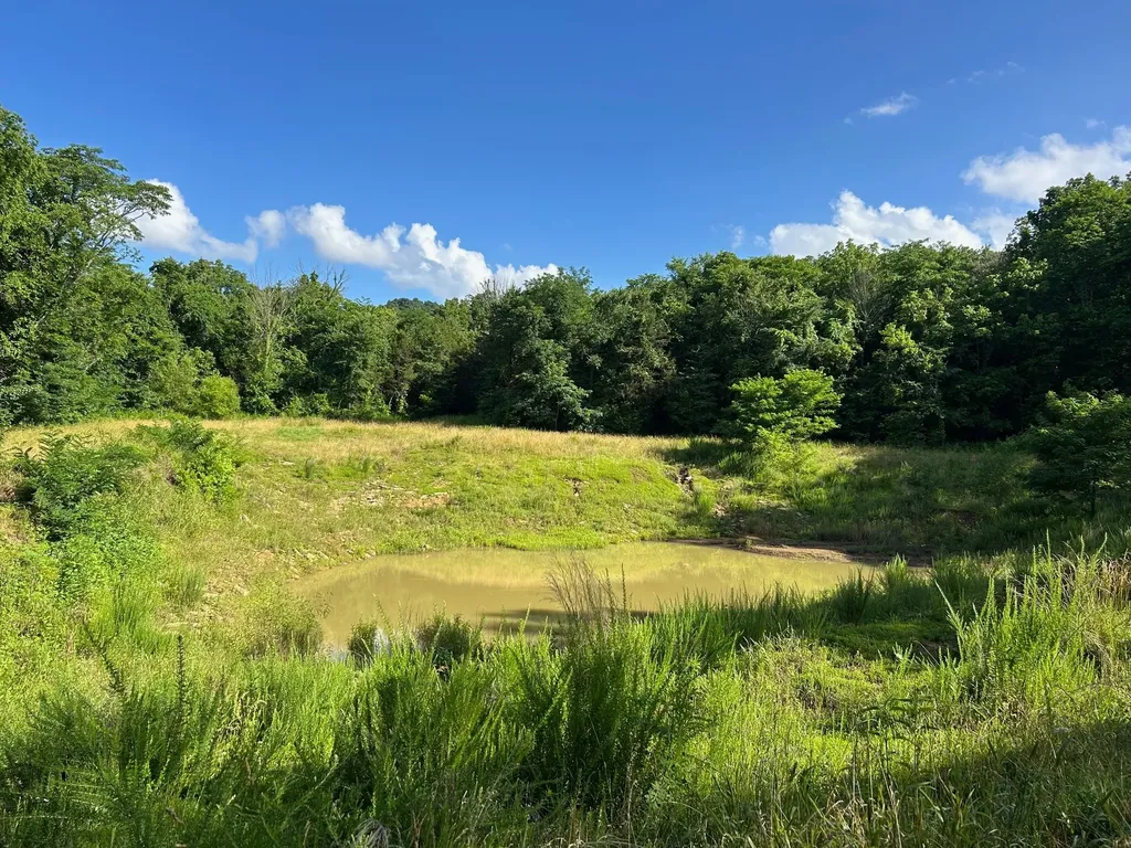 5 Millersburg Road Christiana TN 37037