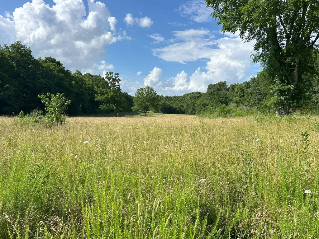 5 Millersburg Road Christiana TN 37037