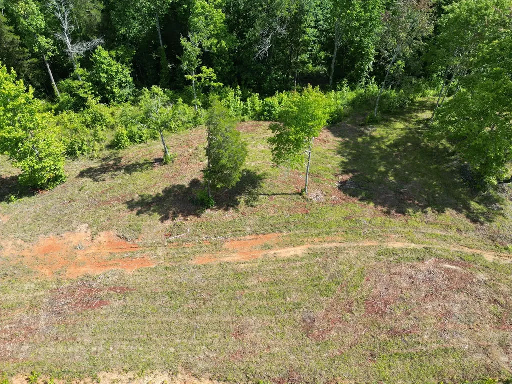 0 York Highway Gainesboro TN 38562