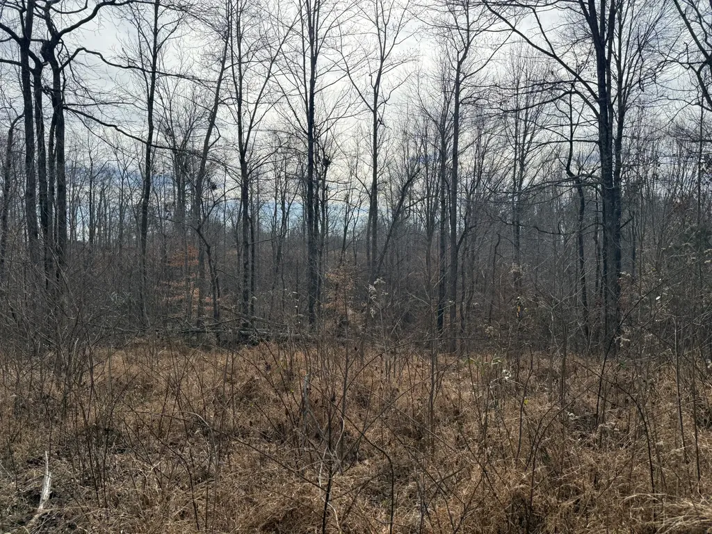 0 York Highway Gainesboro TN 38562